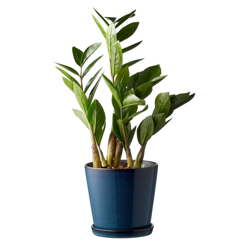 Bitz-pot-met-schotel-O14-cm-Donkerblauw-zwart-Regalino