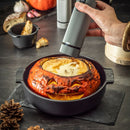 Elektrische-pepermolen-Roermond-Regalino