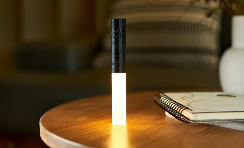 Gingko Smart Baton Light - Zwart