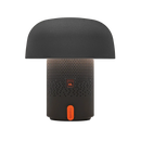 Kooduu-JBL-Regalino-Roermond-winkel-bestellen