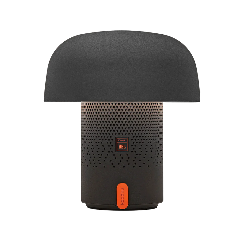 Kooduu-JBL-Regalino-Roermond-winkel-bestellen