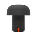 Kooduu-JBL-Regalino-Roermond-winkel