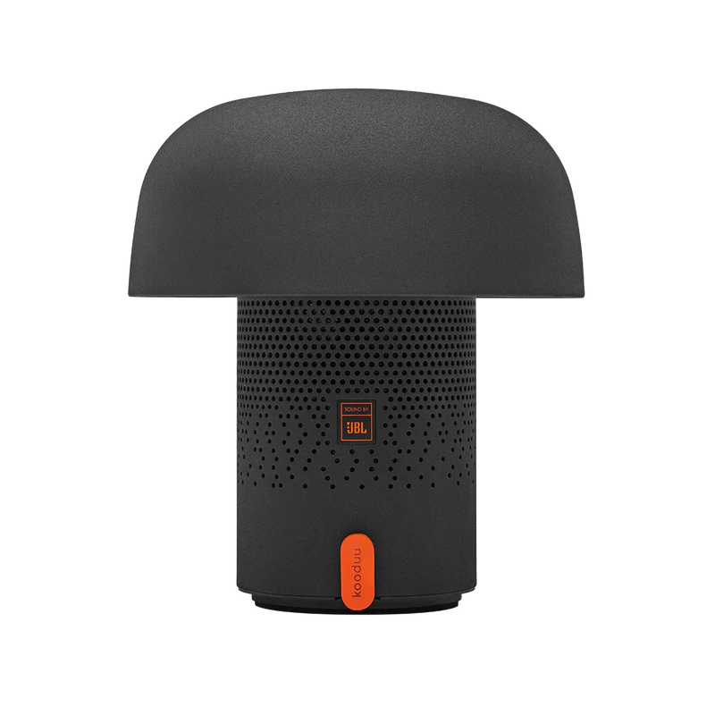 Kooduu-JBL-Regalino-Roermond-winkel