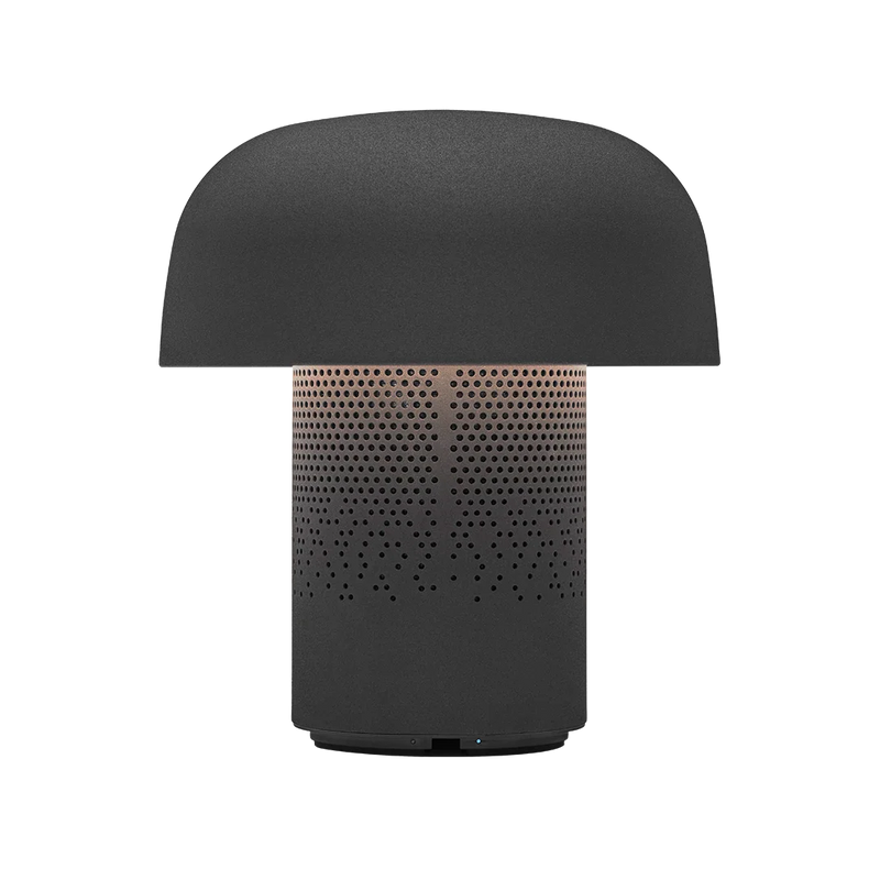 Kooduu-JBL-Regalino-Roermond