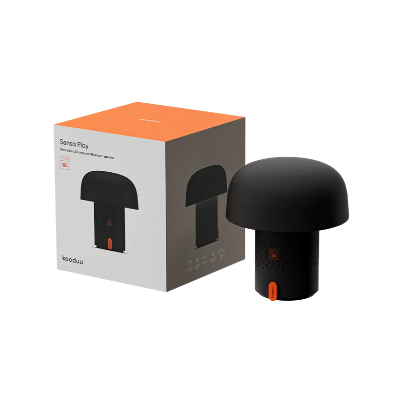 Kooduu-JBL-Regalino-verpakking