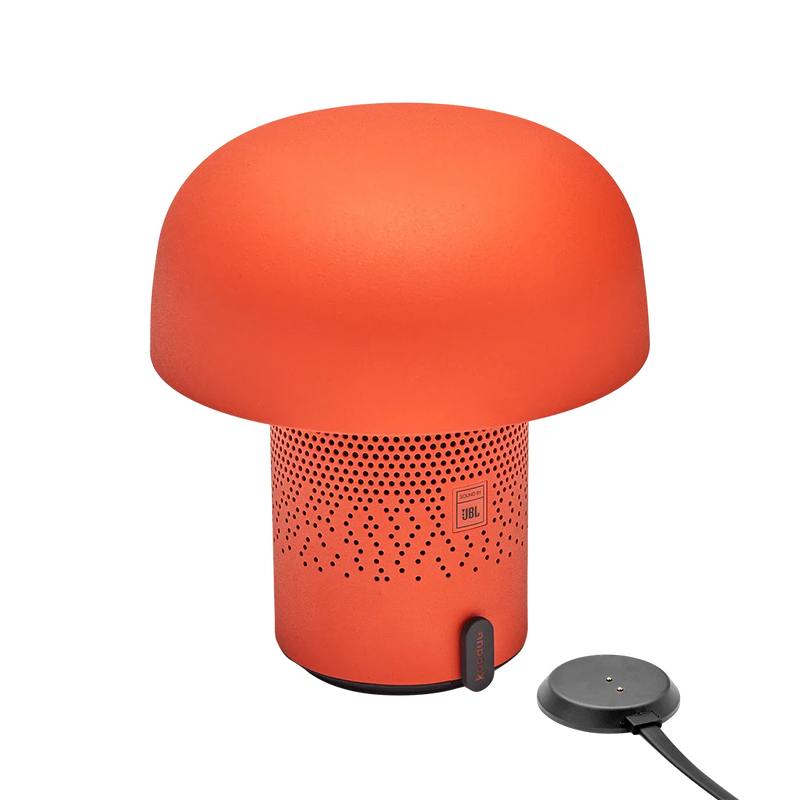 Kooduu-lamp-JBL-Regalino-Roermond