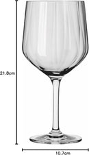 Ritzenhoff-Gin-tonic-glazen-afmeting