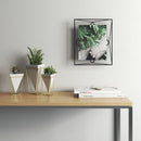 Foto-Umbra-Fotolijst-Groot-Staal-Zwart-Bestellen-Regalino-Roermond