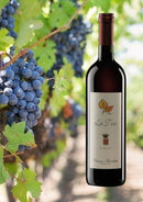 La Tia, Brachetto, Cascina Bertolotto