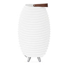 Kooduu "Synergy" Lamp/Speaker/Wijnkoeler - 65S