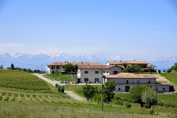 Barbera Monferrato 60% en Cabernet Sauvignon 40% - DOC - 2016 - Policalpo - Cascina Castlet - rode wijn